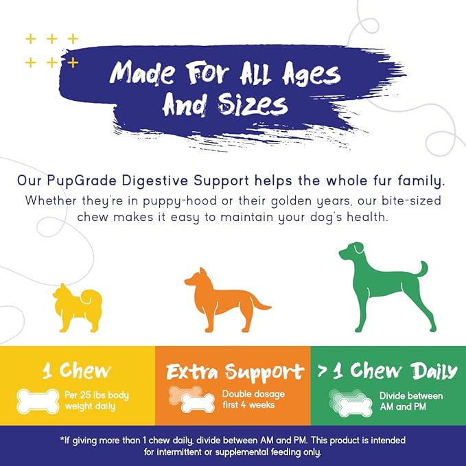 PupGrade Digestive Support Chews for Dogs - Prebiotic and Probiotic Supplement with Enzyme Blend - Upset Stomach, Diarrhea, Bowel, and Immune Support - Pumpkin, Blueberry, Mineral Oil - 180 Soft Chews