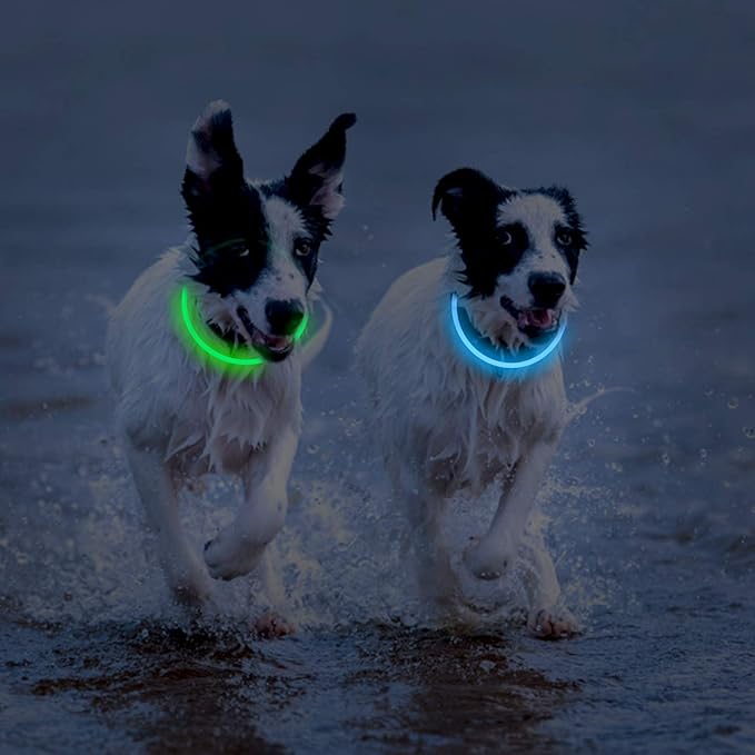 2-Pack LED Dog Collar, Light Up Dog Collars,Rechargeable Dog Lights for Night Walking,Universal, Reusable Safety Necklace for Small Medium Large Dogs Green&Blue