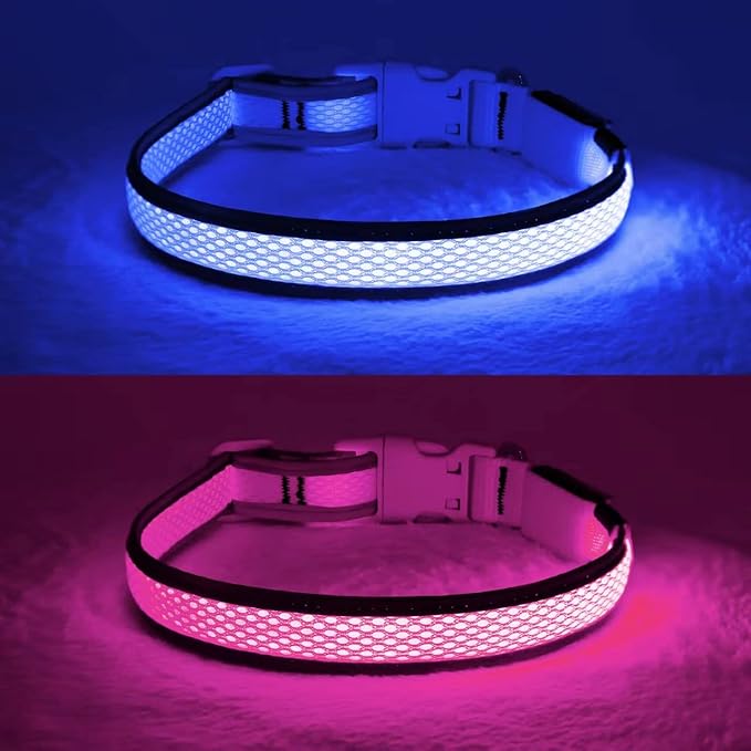 YFbrite Light up Dog Collar, USB Rechargeable LED Puppy Collar Super Bright Adjustable Glowing Dog Lights for Night Walking (Blue, Large)