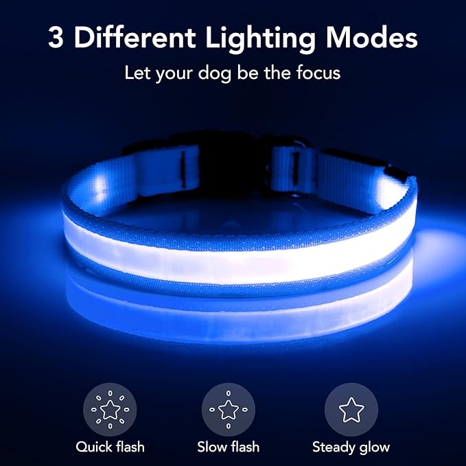 Vizpet LED Dog Collar, Light Up Dog Collar Adjustable USB Rechargeable Super Bright Safety Light Glowing Collars for Dogs(Medium,Blue)