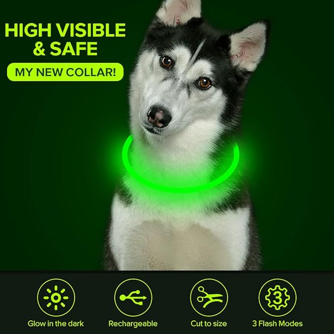 Colaseeme LED Dog Collar, Light Up Dog Collar 1 Count USB Rechargeable TPU Glow Safety Dog Necklace Light, Dog Lights for Small Medium Large Dogs, Please Do Not Use Fast Charging (Green)