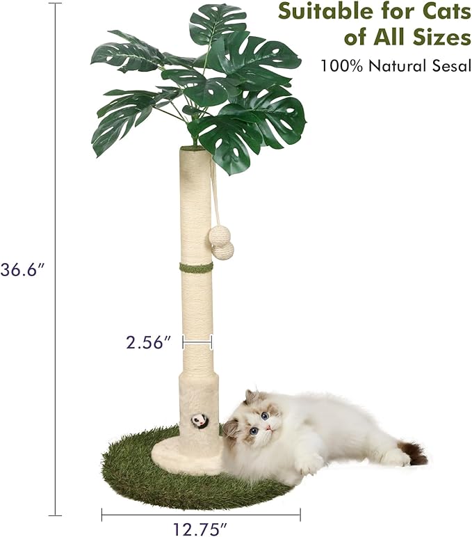 Cat Scratching Posts Cat Trees 35.43" Tall with Sisal Rope Cat Toy and Hanging Ball for Indoor,Wooden Palm Tree Cat Scratch Pole for All Cat(White
