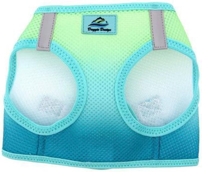 Doggie Design No Choke Dog Harness - Simple Step-in and Go Dog Vest for Small, Medium, and Large Breeds - Breathable Mesh Polyester Pet Harness - Aruba Blue - M