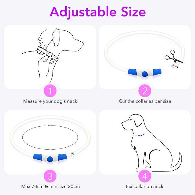 Colaseeme LED Dog Collar Light Up Dog Collars 1 Count USB Rechargeable TPU Glow Safety Basic Dog Collars for Large Medium Small Dogs (Purple)