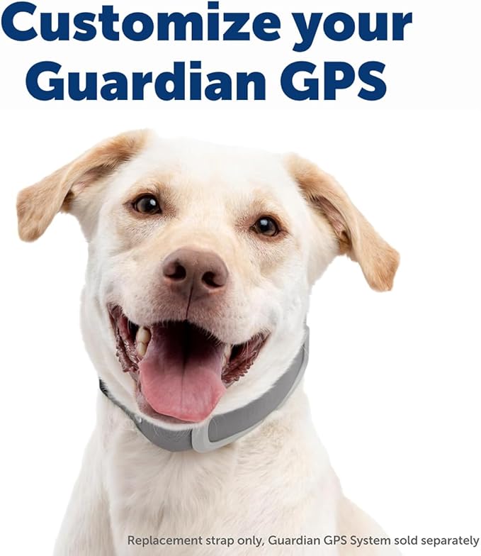 PetSafe Replacement Strap for Guardian GPS + Tracking 1.0 and Guardian GPS Dog Fence Collar, Made with Soft Touch Nylon for Enhanced Comfort,Long Lasting Wear Water Wicking, Waterproof Material, Gray