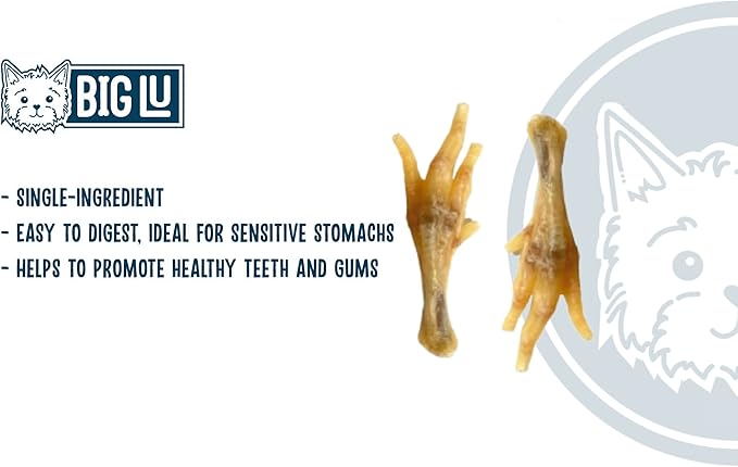 Big Lu – Nail-Free Chicken Feet Dog Chews, 100% Natural Single-Ingredient Treats, Rawhide-Free, Long-Lasting, Rich in Glucosamine and Chondroitin for Joint Health (60 Count)