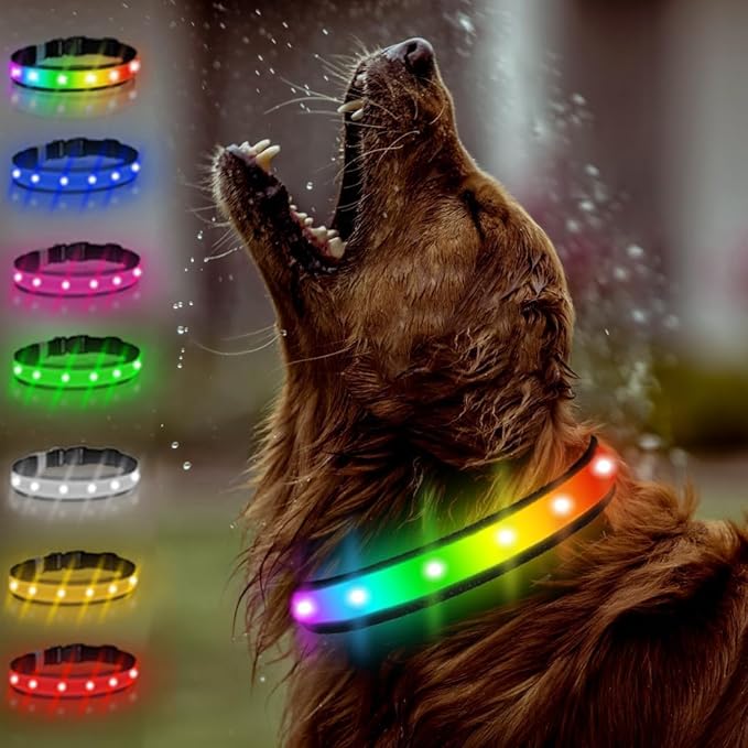 LED Dog Collar, Multicolor Light Up Dog Collar, USB Rechargeable & High-Visibility Glow in The Dark Dog Collars for Night Walks, IPX7 Waterproof, Large