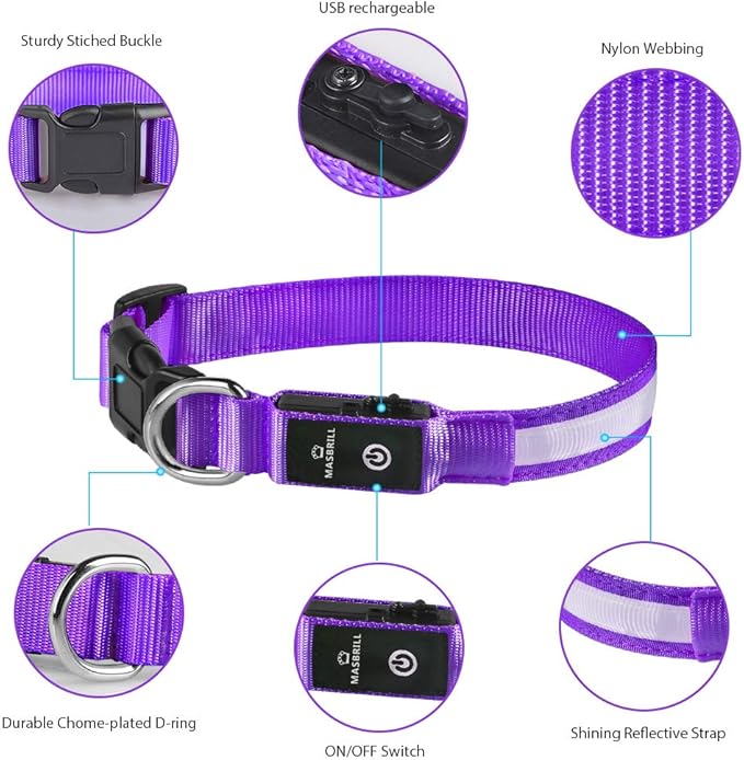 MASBRILL Light Up Dog Collar - LED Dog Collar Rechargeable Waterproof Night Walking Glow Collar for Dogs (M, Purple)