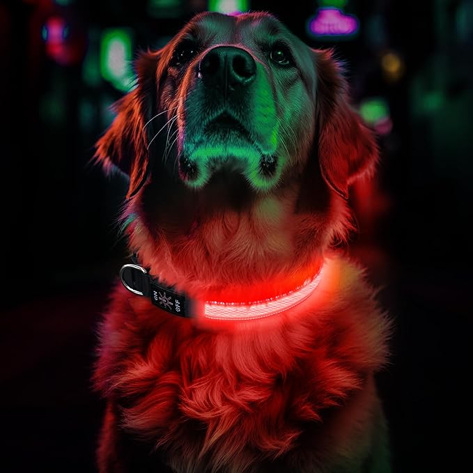 Light Up Dog Collar Rechargeable, LED Glow Collar in Dark with 3 Flash Mode for Outdoor Night Walking Visible Safe, Adjustable Waterproof Dog Light for Small Medium Large Breed, Red, M