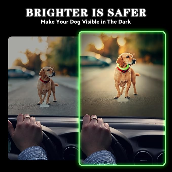 7 Colors in 1 Led Light Up Dog Collar Rechargeable Waterproof, Glow in Dark Dog Collar, TPU Cuttable Lighted Dog Collars for Night Walking Charging USB, Safety for Small Medium Large Dogs Colorful