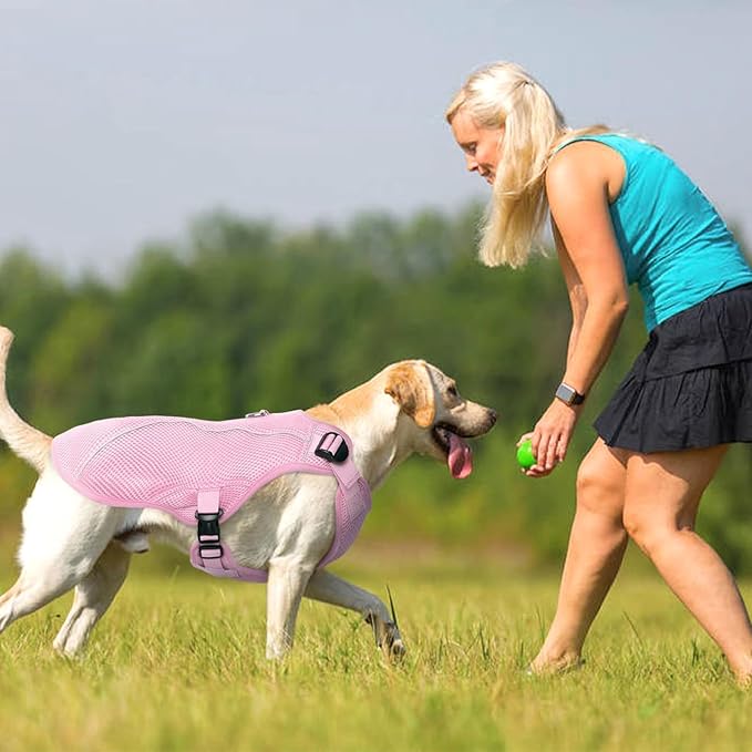 Kuoser Dog Cooling Vest for Large Dogs, Lightweight Doggie Cooler Jacket Breathable Mesh Pet Cooling Shirts Reflective Puppy Cool Harness for Beach, Hiking, Walking Pink XXL
