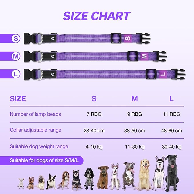 RUXAN Light Up Dog Collar,Dog Lights for Night Walking,LED Collars Waterproof,Glow Dog Collars Rechargeable,Glow in The Dark Dog Collar,Dog Collars Light for Small,Medium,Large Dogs (Medium,Purple)