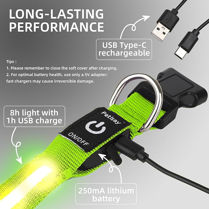 Super Bright LED Dog Collar - Fully Waterproof & Adjustable Glow Collar - USB-C Rechargeable for Night Walking, Safety - Flashing Lighted Collar for Dogs(Green,Small)
