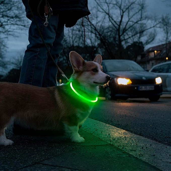 HIGO Light Up Dog Collar, RGB Rechargeable LED Dog Collar, TPU Dog Collar Light for Night Walking, Cuttable Size, Be Seen at Night for Small Medium Large Dogs, Dog Camping Essentials (RGB-TPU)