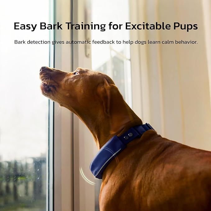 SATELLAI Dog Wireless Fences, Blue The Most Advanced GPS Dog Collar with AI Analysis, Precise Positioning, 5-Day Battery, and IP68 Waterproof, Flexible Virtual Fencing for Medium & Large Dogs