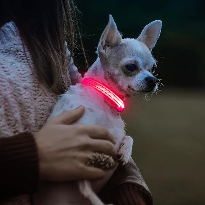 Visinite Light Up Dog Collars for Small Dogs,LED Dog Collar Light Rechargeable,Fully Adjustable Lighted Dog Collar,Glow in The Dark Dog Collars with Dog Lights for Night Walking,Pink