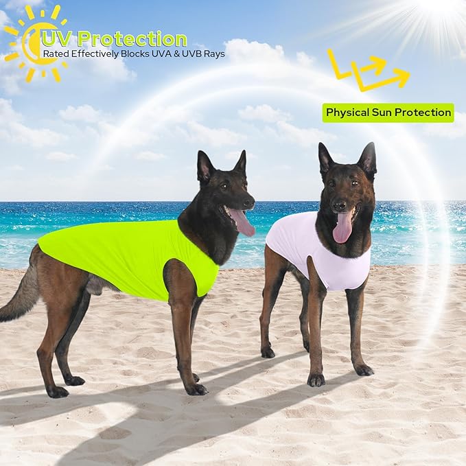2 Pack Dog Shirts, Ice Pet Vest Dog Clothes for Instant Cooling, Lightweight Breathable Sleeveless T-Shirts for Medium Large Dogs, Light Purple+Fluorescent Green (M)