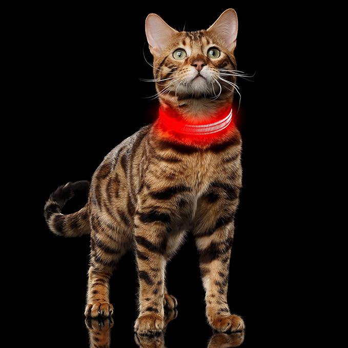 Illumifun Light Up Collar for Small Dogs, USB Rechargeable LED Dog Collar Glow in The Dark, Adjustable Cat Collar Light for Night Walking Camping (Red, X-Small)
