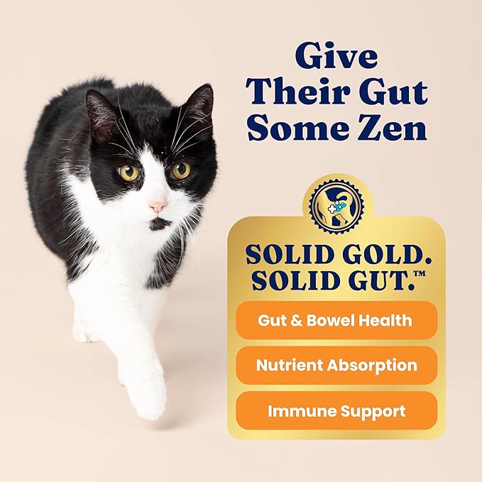 Solid Gold Indoor Dry Cat Food - Grain Free & Gluten Free - Chicken Cat Food Dry Kibble for Indoor Cats w/Probiotics & Fiber for Gut Health - Sensitive Stomach & Hairball Support for Adult Cats - 6LB