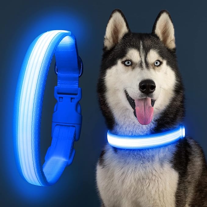 YFbrite Light up Dog Collar, USB Rechargeable LED Puppy Collar Super Bright Adjustable Glowing Dog Lights for Night Walking (Design-2- Blue, Medium)