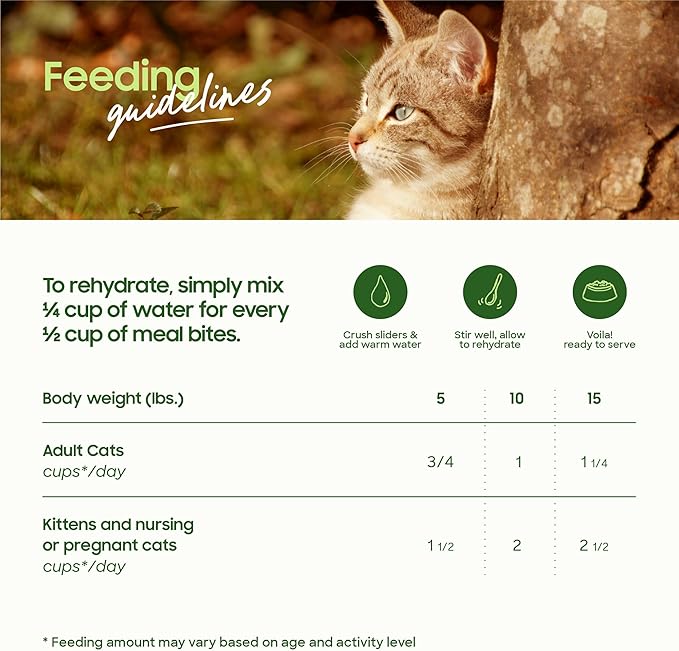 smallbatch Pets Freeze Dried Cat Treats, Raw Dry Cat Food Bites, Beef Recipe, High Protein Food Topper or Training Treats for Cats, Humanely Sourced Meat, Made in The USA, Non GMO, 10 oz Bag