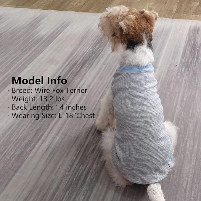 KYEESE 2Pack Dog Shirts Waffle for Small Dogs Stretchy T-Shirts Lightweight Tank Top Sleeveless Vest Breathable Cat Tee, Medium, Blue+Grey