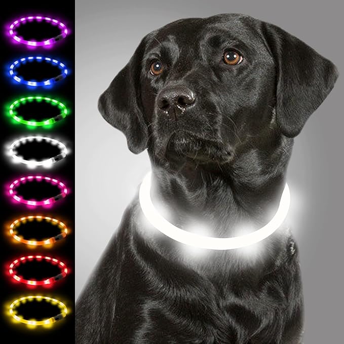Joytale Light Up Dog Collar, Rechargeable Rainproof LED Collar for Night Walking Safety, Soft Silicone Glow in The Dark, Suitable for Small Medium Large Dogs, White
