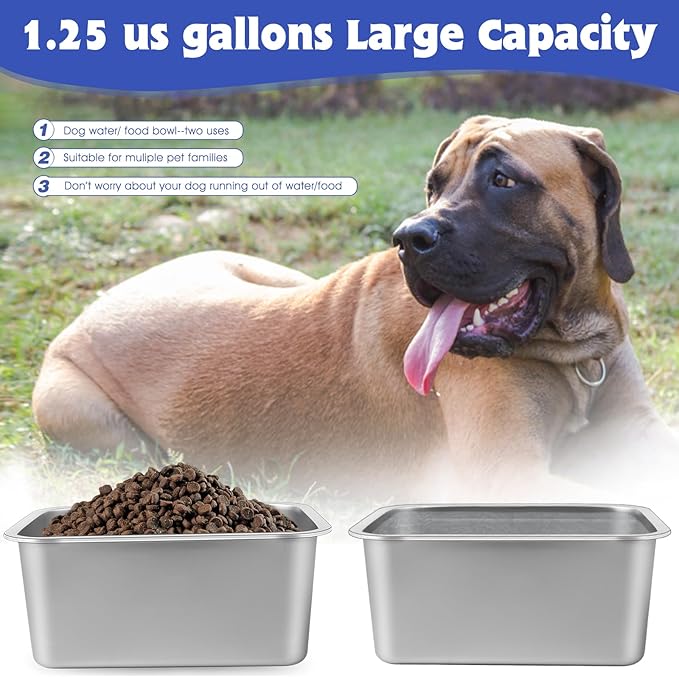 1.25 Gallons Large Dog Water Bowl, 2PCS Stainless Steel Metal Dog Bowls, Large Capacity Pet Food Bowl Water Dish for Indoor and Outdoor Universal for Small & Medium Dogs 12.6''×8.7''×3.9''
