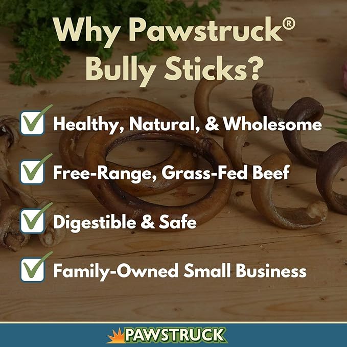 Pawstruck All-Natural 6" Bully Stick Springs for Dogs - Fun, Challenging, Rawhide-Free, 100% Beef, Single Ingredient Chew Bones - Fully Digestible, Low Odor - 25 Pack - Packaging May Vary