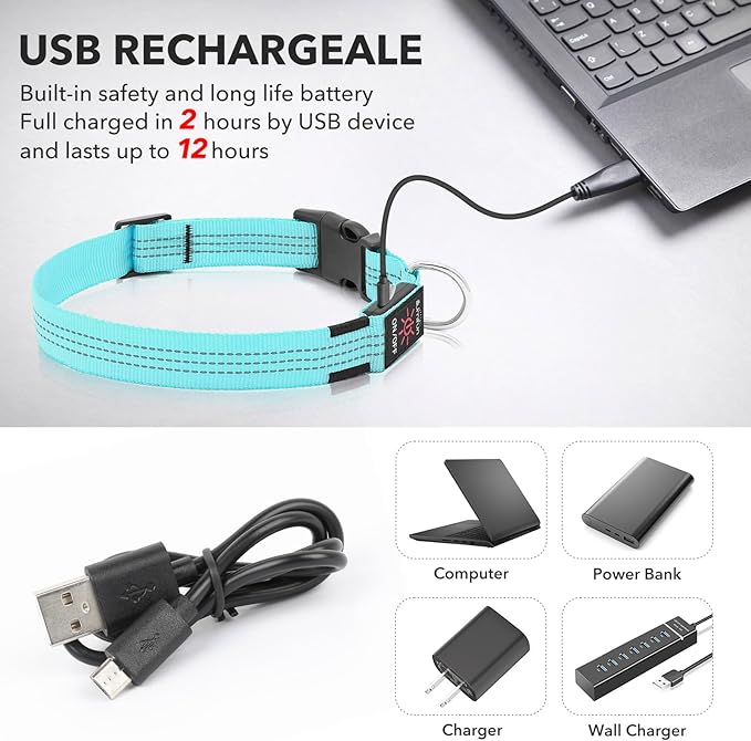 Illumifun LED Dog Collar - USB Rechargeable Dog Light Up Collar, Reflective Pet Collar Light Glow in The Dark (BlueⅢ, Medium)