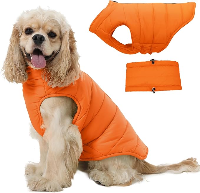 Warm Dog Coat Pet Vest with Zipper for Dogs, Cold Weather Coats for Medium Pets, Easy On/Off Winter Snow Jacket Clothes for French Bulldog, Boston Terrier, Schnauzer Wear, Orange M
