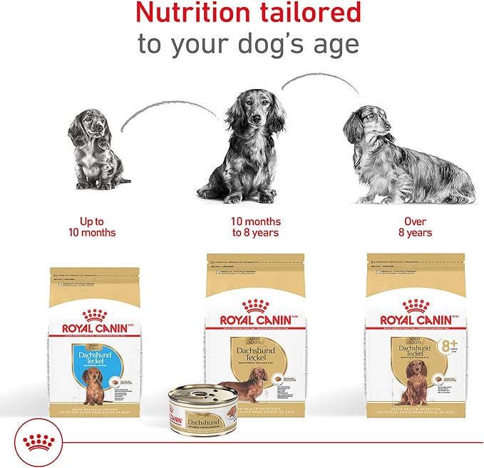 Royal Canin Dachshund Adult Breed Specific Dry Dog Food, 2.5 lb bag