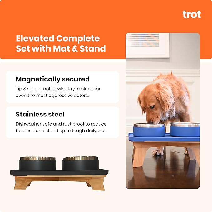 Trot Pets Elevated Dog Bowls | Stainless Steel Raised Bowl Set for Small, Medium, or Large Dogs | Non-Slip Food and Water Slow Feeder | Durable, BPA-Free, Anti-Skid, Dishwasher Safe (Slate, Small)