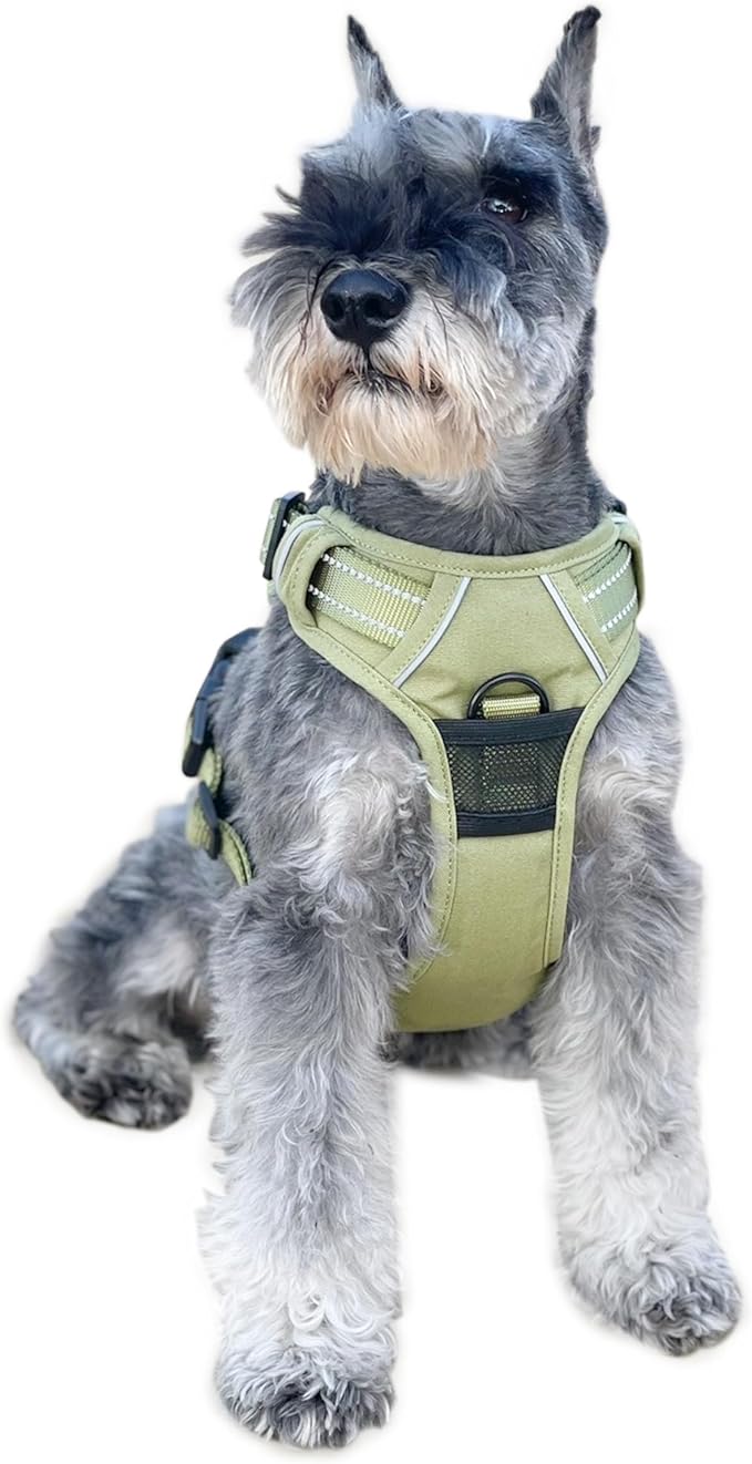 Doggie Design Venture Paw No Pull Dog Harness - Simple Adjustable Puppy Harness - Anti Pull Dog Collar for Walks and Outdoor Adventures - Aspen, L