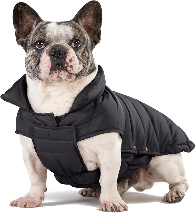 SPACE LION Puffer Jacket, Down Winter Coat, Waterproof, Windproof, Lightweight Jacket, Adjustable Fit for Medium, Large Dogs(Black,XL)