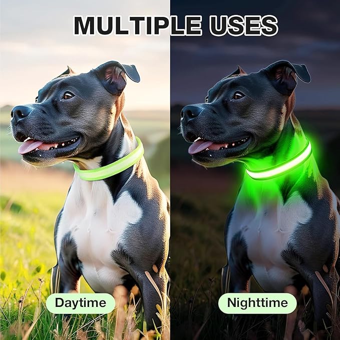 Pceotllar Light Up Collar - Rechargeable Led Dog Collar with Automatic 7-Color Changes, Water Resistant, Bright Glow for Night Walking (Green, M)