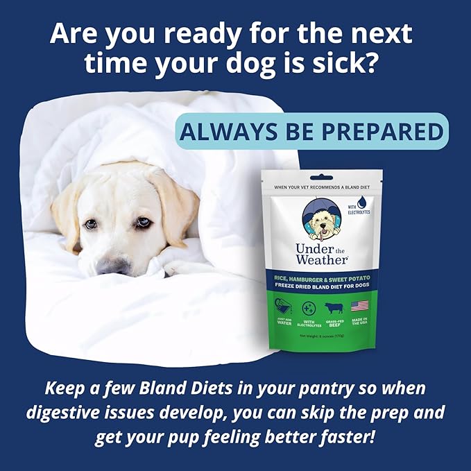 Under The Weather Easy to Digest Bland Diet for Sick Dogs | Contains Electrolytes | Gluten Free, All Natural, Freeze Dried 100% Human Grade Meats | 6 Pack - Hamburger, Rice & Sweet Potato
