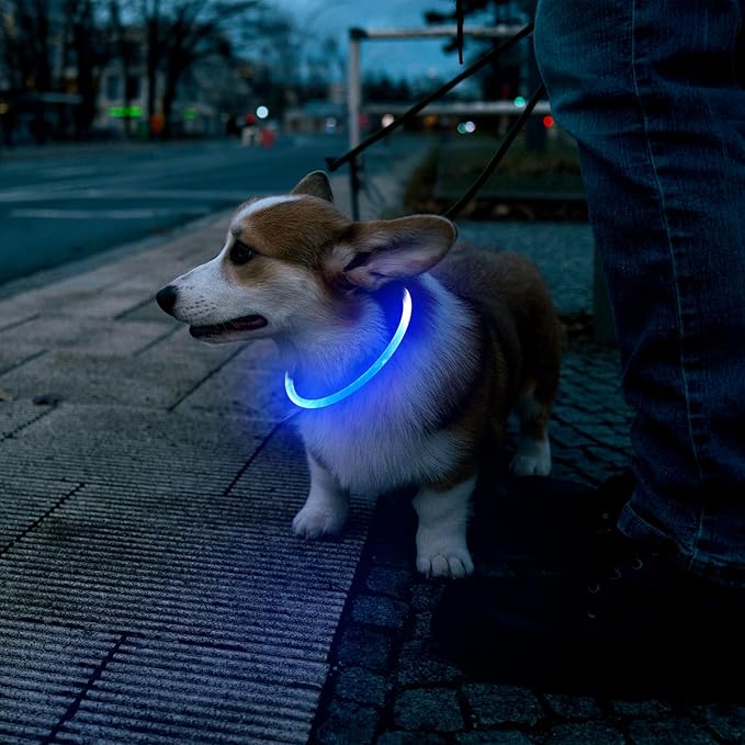 Flashseen LED Dog Collar, USB Rechargeable Glowing Lighted Up Collar, Cuttable Water-Resistant TPU Safety Collar Lights for Small Medium Large Dogs