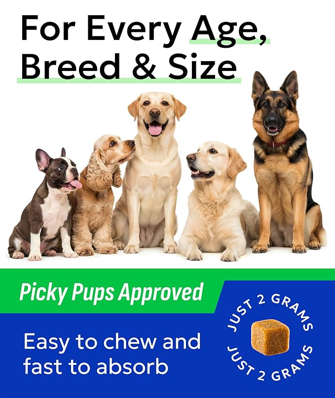 BARK&SPARK Advanced Omega-3 Collagen for Dogs - 180 Fish & Salmon Oil Treats for Dog Shedding, Skin Allergy Chews, Itch Relief, Hot Spots Treatment - Jointm Skin & Coat Supplement, EPA&DHA Fatty Acids