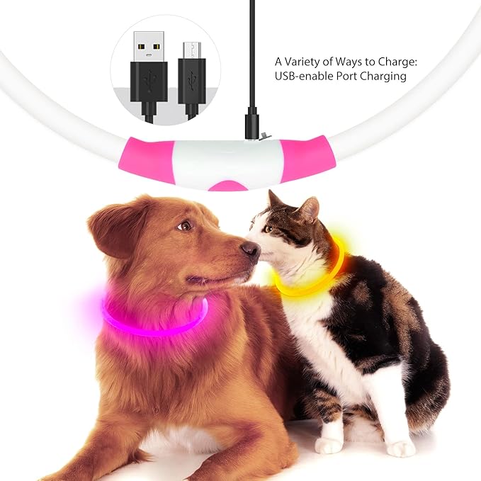 Flashseen LED Dog Collar, USB Rechargeable Glowing Lighted Up Collar, Cuttable Water-Resistant TPU Safety Collar Lights for Small Medium Large Dogs