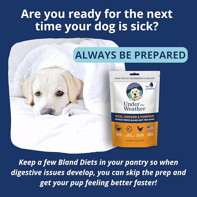 Under the Weather Bland Diet for Dogs | Easy to Digest for Sick Dogs |Always Be Ready | Contains Electrolytes - All Natural Freeze Dried 100% Human Grade Meats | 1 Pack - Rice, Chicken & Pumpkin - 6oz