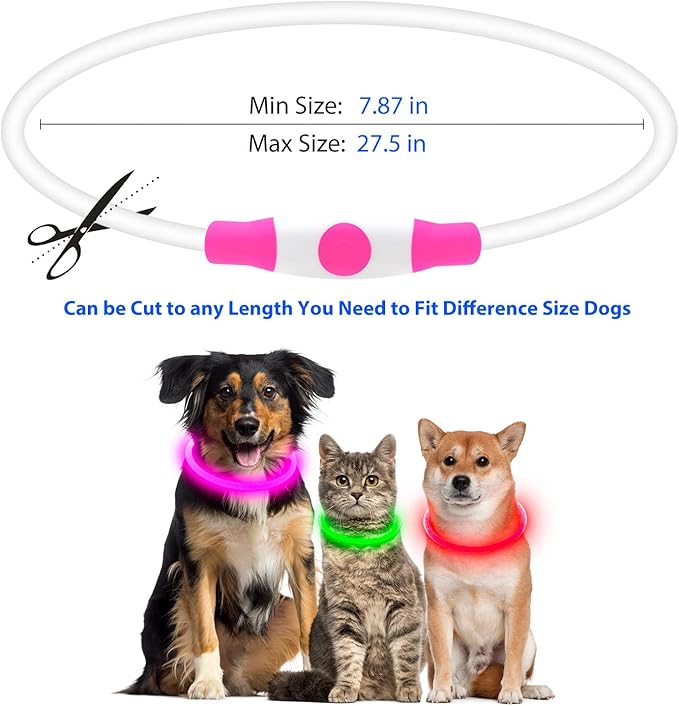 Flashseen LED Dog Collar, USB Rechargeable Glowing Lighted Up Collar, Cuttable Water-Resistant TPU Safety Collar Lights for Small Medium Large Dogs