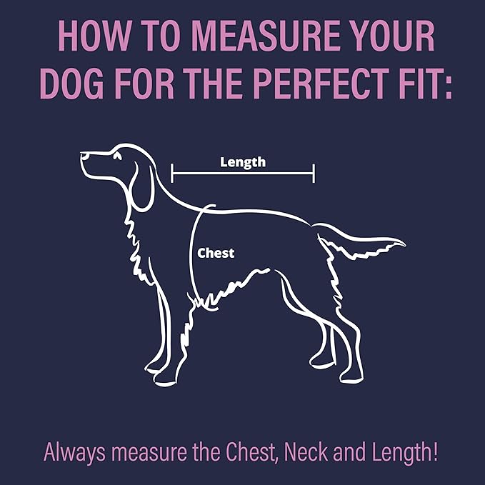 Doggie Design Venture Paw No Pull Dog Harness - Simple Adjustable Puppy Harness - Anti Pull Dog Collar for Walks and Outdoor Adventures - Wild Raspberry, M