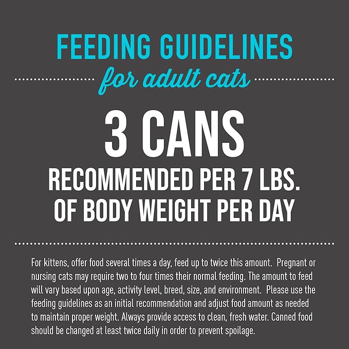 Tiki Cat After Dark, Chicken & Quail Egg, High-Protein and 100% Non-GMO Ingredients, Wet Cat Food for Adult Cats, 2.8 oz. Can (12 Count)