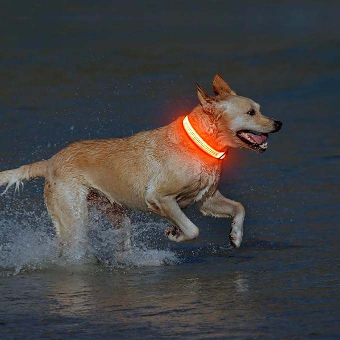 Illumifun Light Up Dog Collar USB Rechargeable LED Dog Collar, Adjustable Blinking Dog Light for Large Dogs (OrangeⅢ, Large)