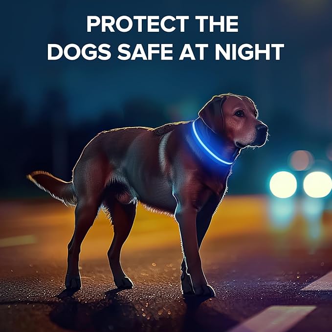 Light Up Dog Collar, Adjustable USB Rechargeable Glow in Dark Dog Collar ,Waterproof Dog Collars for Small Dogs (Blue, Small)