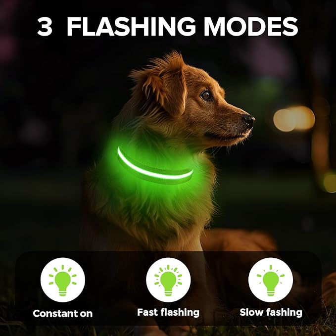 Light Up Dog Collar, Adjustable USB Rechargeable Glow in Dark Dog Collar ,Waterproof Dog Collars for Small Dogs (Green, Small)
