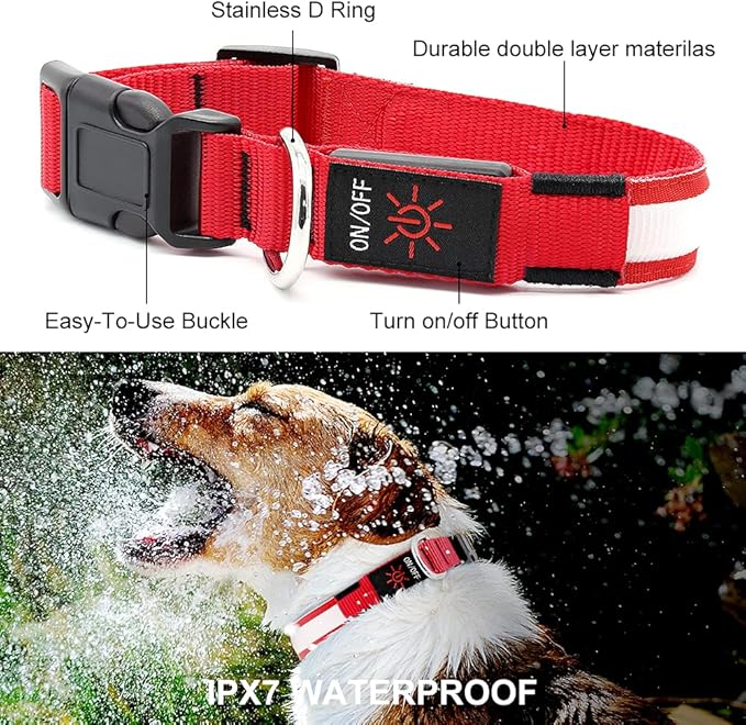 YFbrite Ultra Light Adjustable LED Dog Collar, Light up Dog Collars Rechargeable Glowing in The Dark Collars Visiblity & Safety for Small, Medium, Large Dogs (Red, Medium)