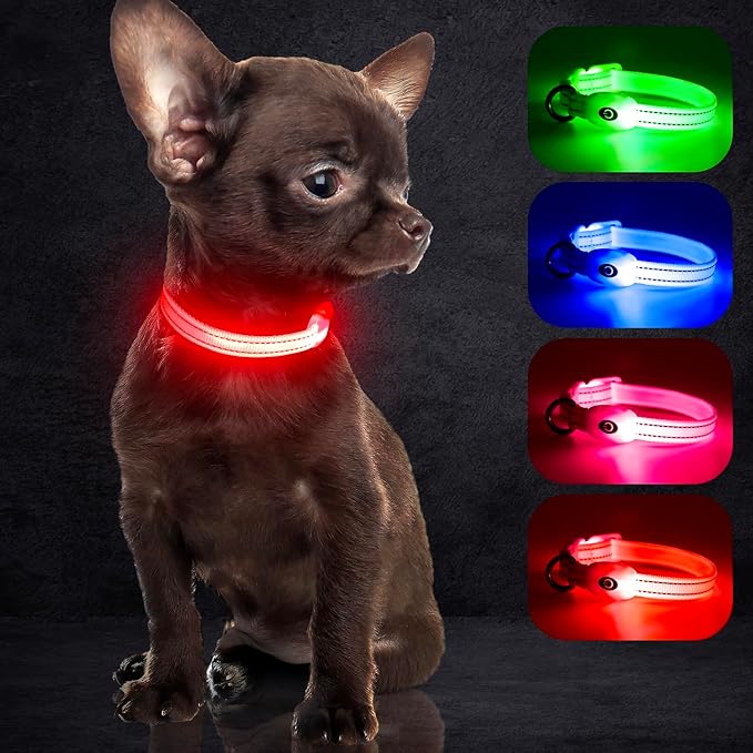YFbrite Light up Dog Collars for Night Walking, Rechargeable LED Cat Collar, Comfortable Adjustable Lighted Dog Collar Rechargable for Cats, Small, Medium and Large Dogs (Red, XS)