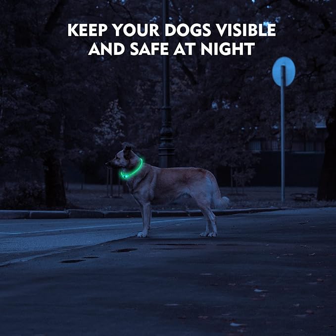LED Dog Collar, Rechargeable Light Up Dog Collars,IP67 Waterproof Dog Lights for Night Walking,Adjustable, Reusable Safety Necklace for Small Medium Large Dogs (Green)